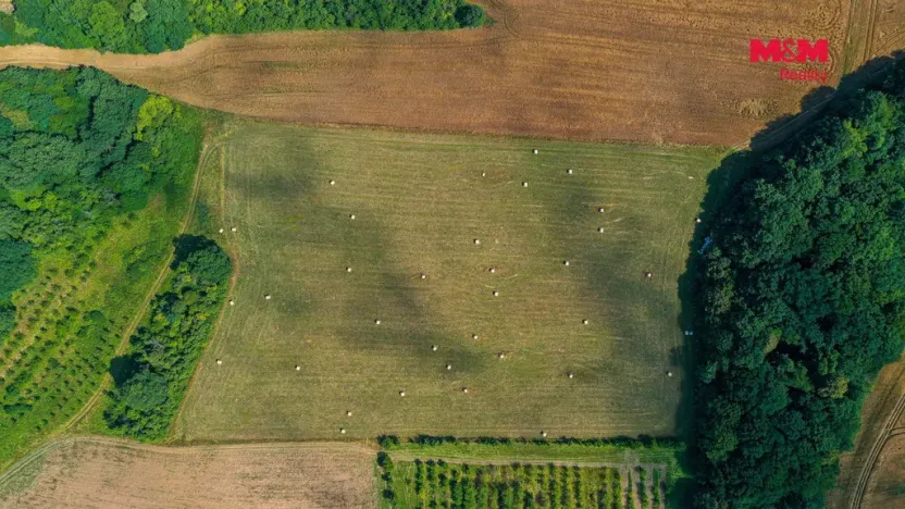 Prodej komerčního pozemku, Polom, 27304 m2