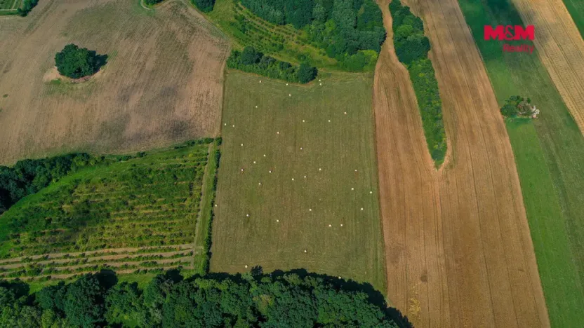 Prodej komerčního pozemku, Polom, 27304 m2