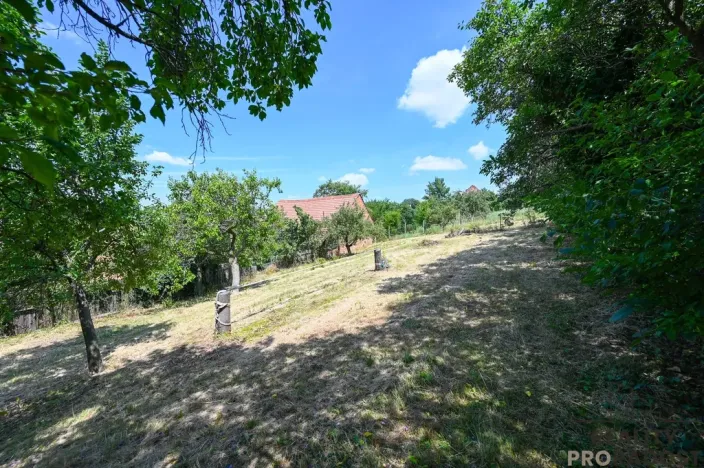 Prodej pozemku pro bydlení, Vážany, 1206 m2