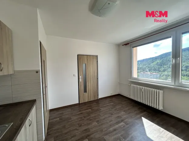 Pronájem bytu 1+1, Děčín, Nálepkova, 35 m2