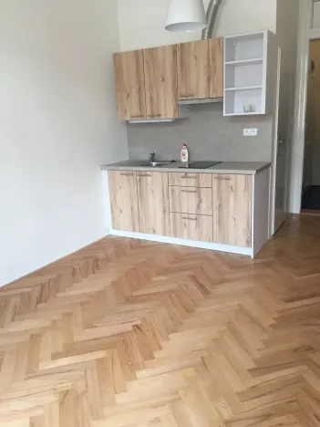 Pronájem bytu 1+kk, Praha - Nusle, Jaromírova, 24 m2