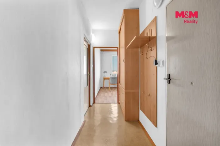 Prodej bytu 1+1, Pardubice - Zelené Předměstí, Žitná, 40 m2