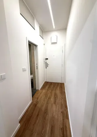Pronájem bytu 1+kk, Praha - Michle, 28 m2