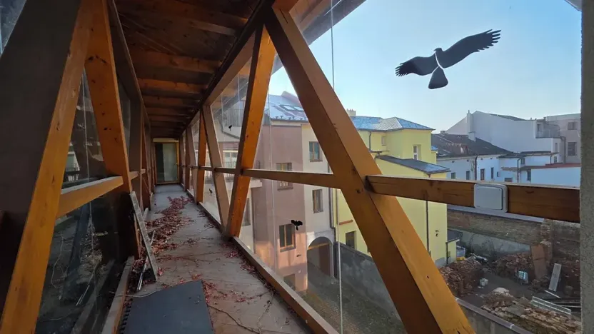 Dražba vícegeneračního domu, Náchod, Komenského, 1000 m2