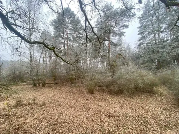 Dražba pole, Slatina, 13059 m2