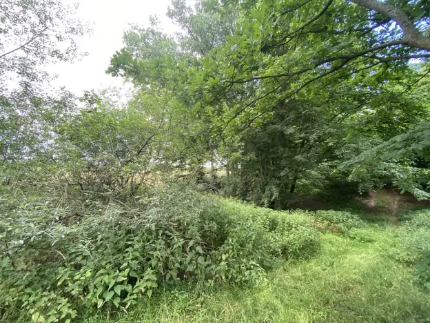 Prodej pozemku, Olbramice, 225 m2