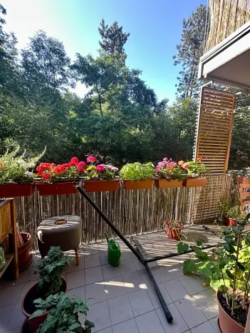 Pronájem bytu 2+kk, Praha - Žižkov, Jeseniova, 55 m2