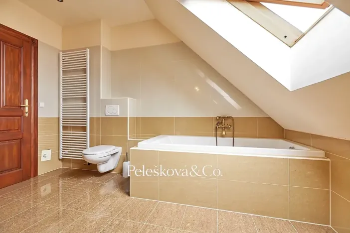 Pronájem bytu 4+kk, Praha - Bubeneč, Havanská, 177 m2
