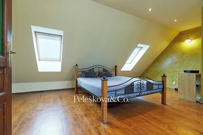Pronájem bytu 4+kk, Praha - Bubeneč, Havanská, 177 m2