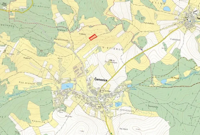Prodej pole, Černovice, 4928 m2
