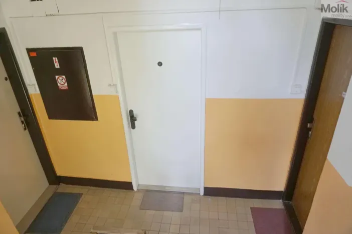 Prodej bytu 2+1, Litvínov - Horní Litvínov, Studentská, 53 m2