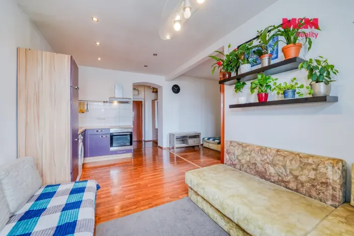 Prodej bytu 2+kk, Plzeň - Východní Předměstí, Guldenerova, 39 m2