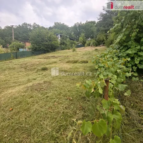 Prodej zahrady, Děčín, Chlumská, 957 m2