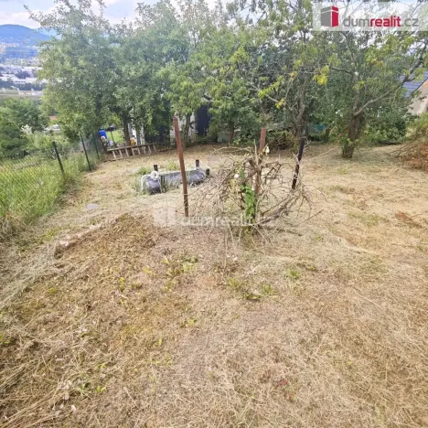 Prodej zahrady, Děčín, Chlumská, 957 m2