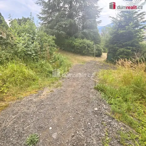 Prodej zahrady, Děčín, Chlumská, 957 m2