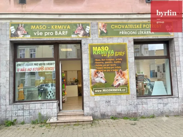 Pronájem obchodního prostoru, Opava, Nákladní, 44 m2