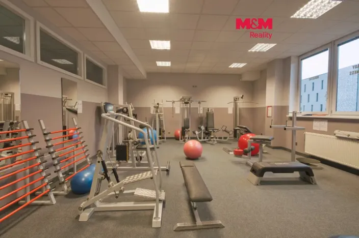 Pronájem obchodního prostoru, Rožnov pod Radhoštěm, Meziříčská, 320 m2