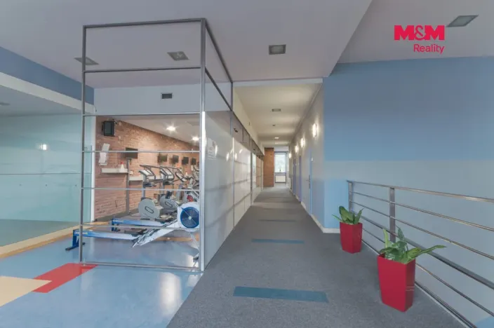Pronájem obchodního prostoru, Rožnov pod Radhoštěm, Meziříčská, 320 m2