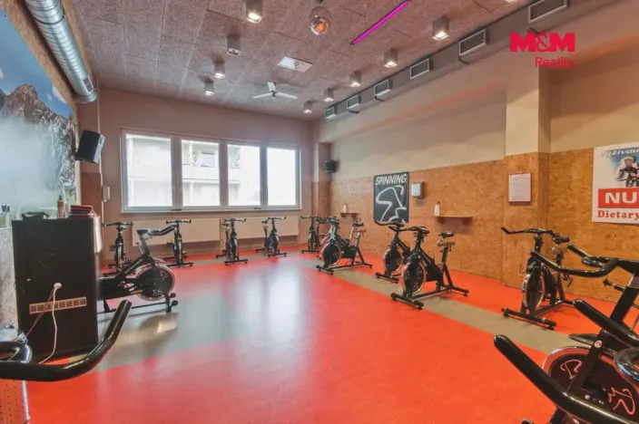 Pronájem obchodního prostoru, Rožnov pod Radhoštěm, Meziříčská, 320 m2
