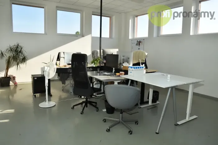 Pronájem obchodního prostoru, Ostrava, Cihelní, 701 m2