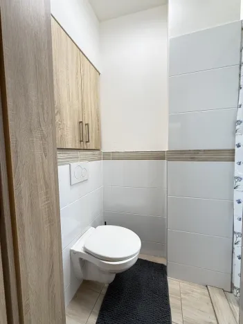 Pronájem bytu 1+kk, Opava - Předměstí, Alšova, 15 m2