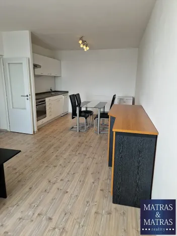 Pronájem bytu 1+kk, Brno, 47 m2