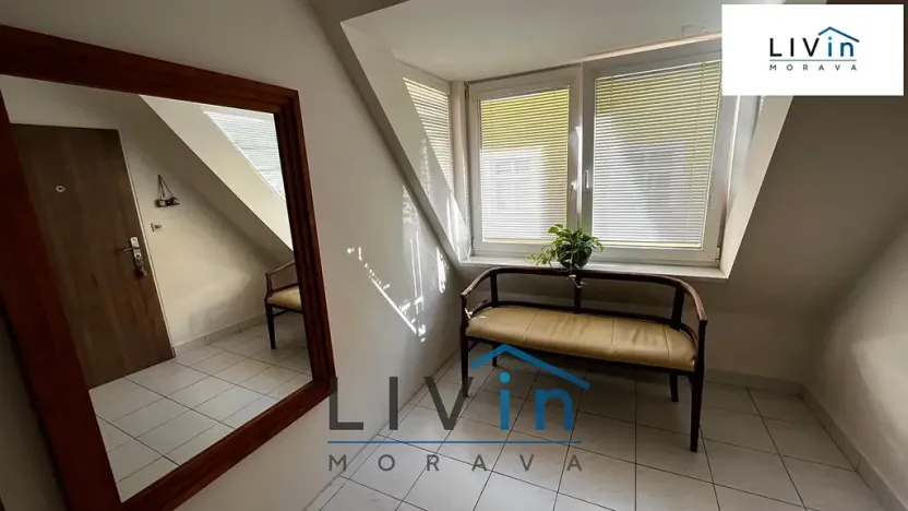 Pronájem bytu 1+kk, Olomouc, Sokolská, 52 m2