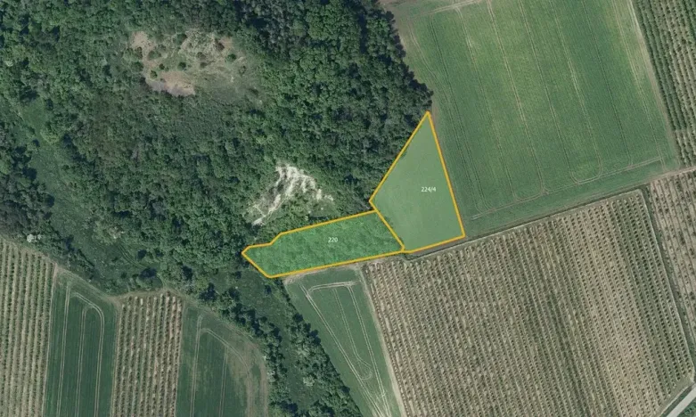Prodej pole, Želkovice, 133318 m2