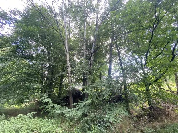 Prodej pozemku, Olbramice, 708 m2