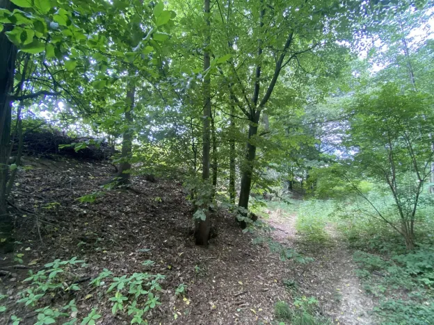 Prodej pozemku, Olbramice, 708 m2