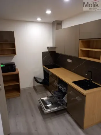 Prodej bytu 1+kk, Teplice - Trnovany, Seifertova, 31 m2