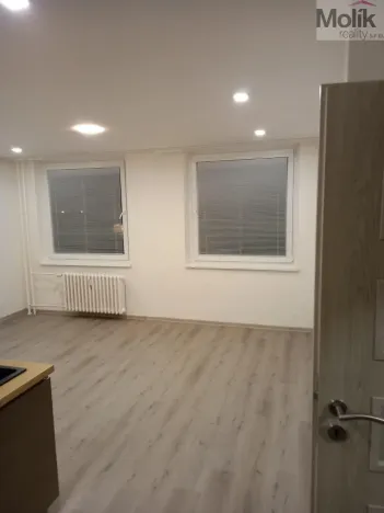 Prodej bytu 1+kk, Teplice - Trnovany, Seifertova, 31 m2