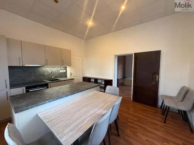 Pronájem bytu 3+1, Most - Čepirohy, Sadová, 150 m2
