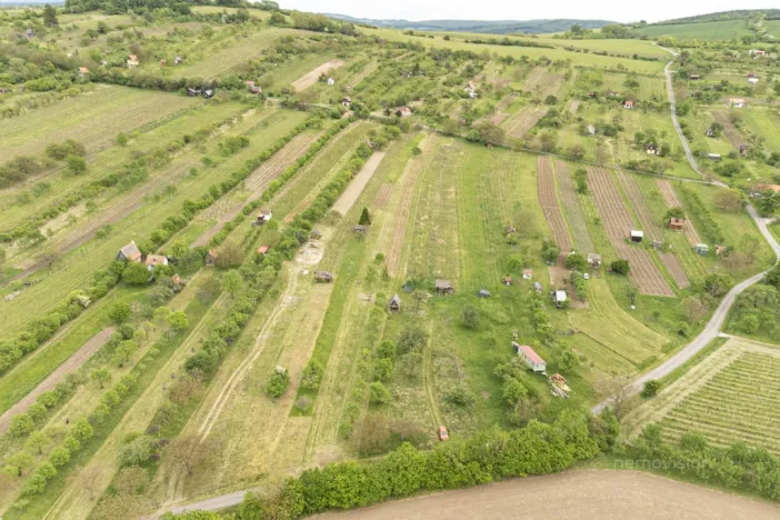 Prodej sadu/vinice, Strážnice, 3526 m2