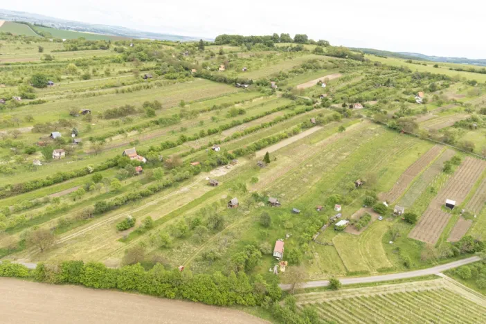 Prodej sadu/vinice, Strážnice, 3526 m2