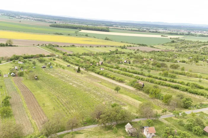 Prodej sadu/vinice, Strážnice, 3526 m2