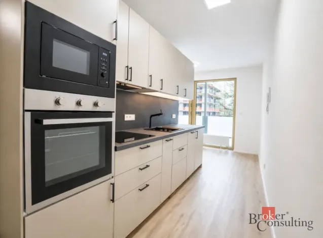 Pronájem bytu 1+kk, Plzeň - Východní Předměstí, Zahradní, 31 m2