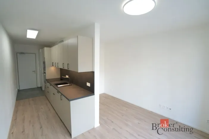 Pronájem bytu 1+kk, Plzeň - Východní Předměstí, Zahradní, 31 m2