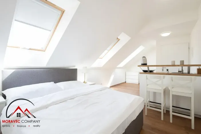 Pronájem apartmánu, Ostrava, Cihelní, 23 m2
