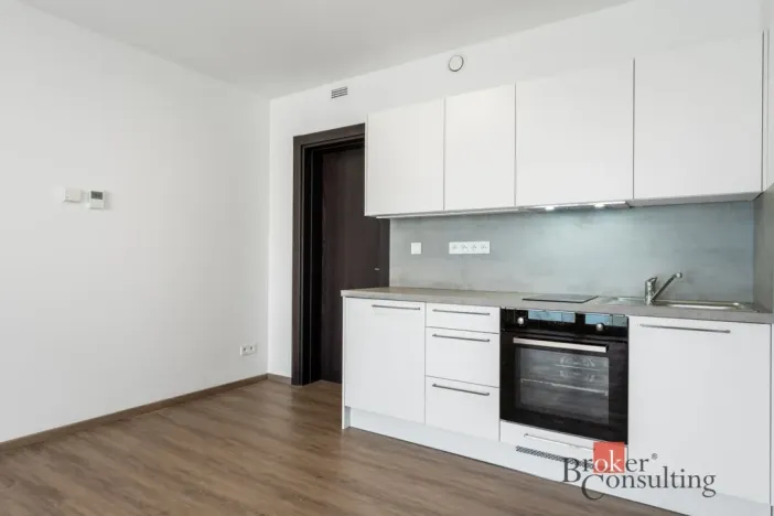Pronájem bytu 1+kk, Olomouc - Nová Ulice, Třída Jiřího Pelikána, 33 m2