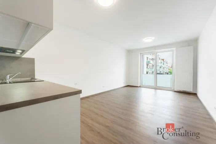 Pronájem bytu 1+kk, Olomouc - Nová Ulice, Třída Jiřího Pelikána, 33 m2