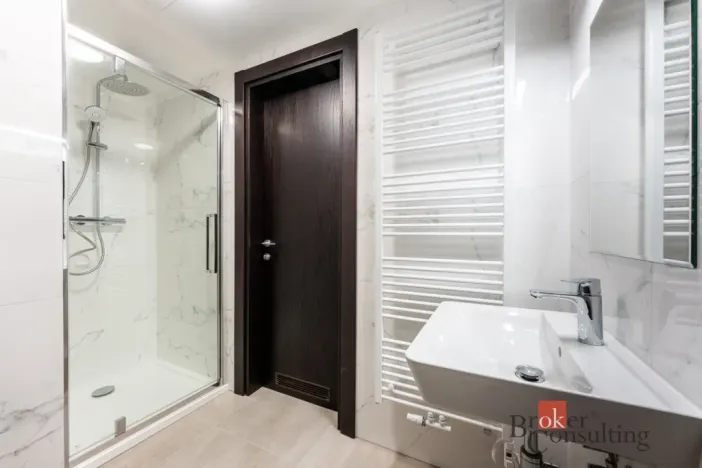 Pronájem bytu 1+kk, Olomouc - Nová Ulice, Třída Jiřího Pelikána, 33 m2