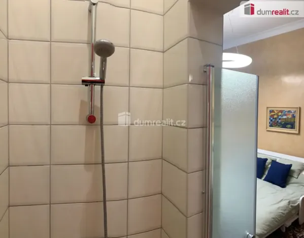Pronájem bytu 1+1, Praha - Nové Město, Hálkova, 33 m2