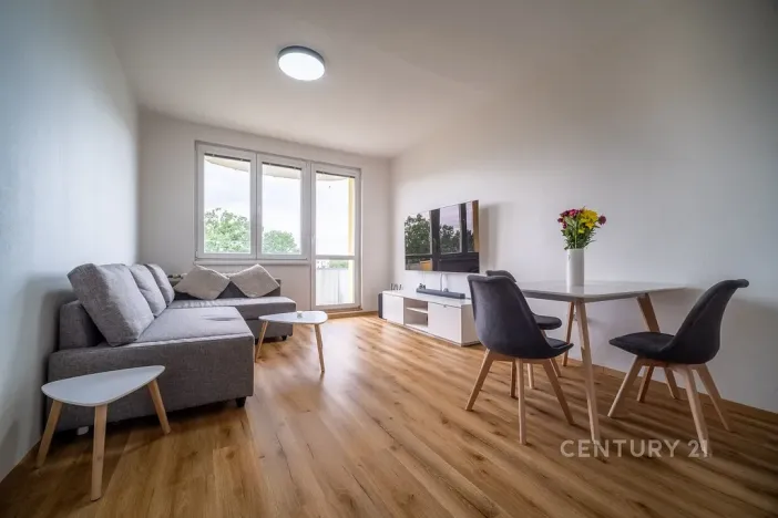 Prodej bytu 2+kk, České Budějovice - České Budějovice 2, Otavská, 46 m2