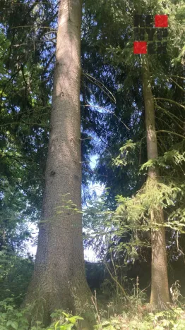 Prodej pole, Lomnice nad Popelkou - Želechy, 3130 m2