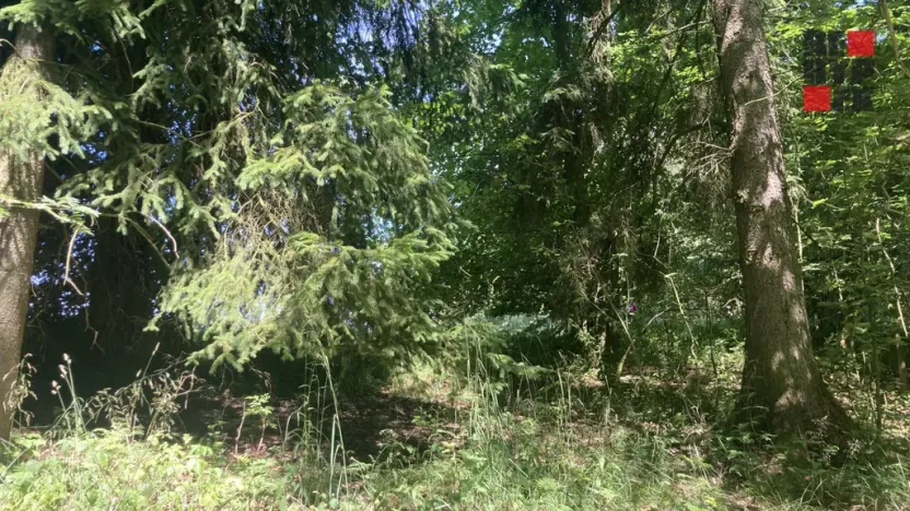 Prodej pole, Lomnice nad Popelkou - Želechy, 3130 m2