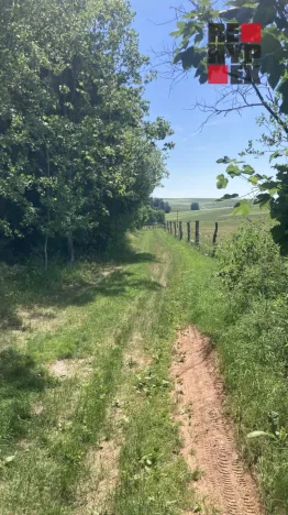 Prodej pole, Lomnice nad Popelkou - Želechy, 3130 m2