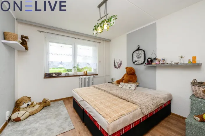 Pronájem bytu 3+1, Staré Sedliště, 66 m2
