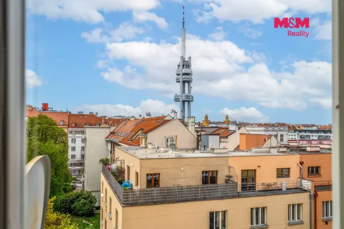 Prodej bytu 2+1, Praha - Žižkov, Baranova, 89 m2