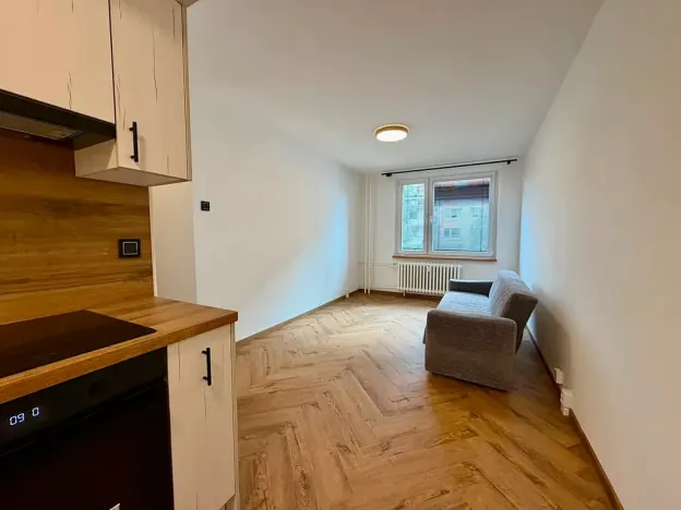 Pronájem bytu 2+kk, Lovosice, Dlouhá, 42 m2